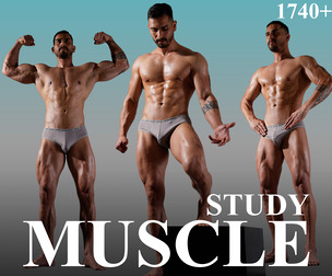 1740+ Dynamic Male Muscle Study Reference Pictures