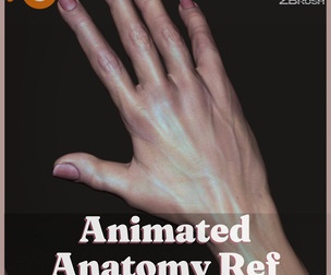 Animated Anatomy Reference | Hands