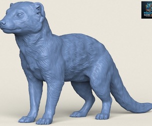 Wild Mongoose Print Ready 3D Model