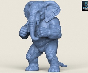 Elephant Fighter Character