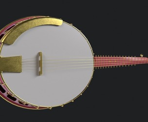 Banjo Musical Instrument