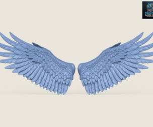 Bird Wings Print Ready 3D Model