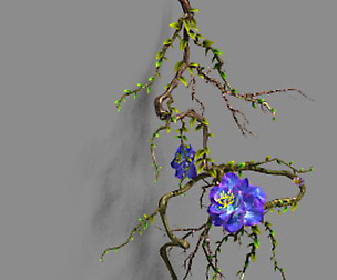 Strange - Flower 1