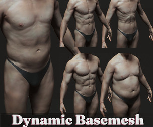 Dynamic Male Basemesh | 5+ Body Types - [Zbrush/Blender]