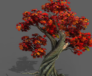 Forest - Maple 10