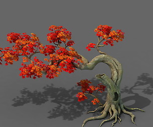 Forest - Maple Tree 11