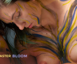 Aster Bloom