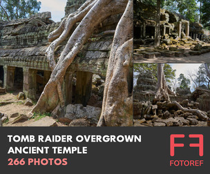 266 photos of Tomb Raider Overgrown Ancient Temple