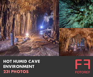 231 photos of Hot Humid Cave Environment