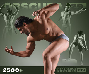 Warrior Anatomy: 2500+ Male Fighting & Sport Poses P. 1