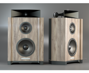 Horn acoustic system