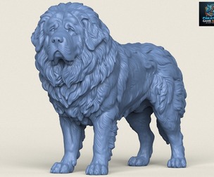 Tibetan Bullmastiff Dog Print Ready 3D Model