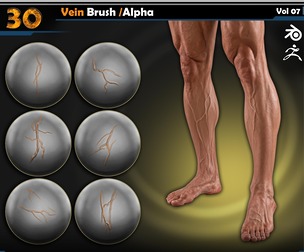 Vein Brush /Alpha | Vol.07