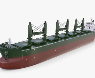Bulk Carrier V3
