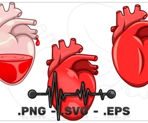 Realistic heart and heart rate color