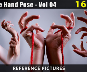 Female Hand Pose - Vol 04