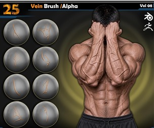Vein Brush /Alpha | Vol.08