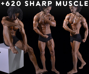 +820 Sharp Muscle Force Image References - Vol 64