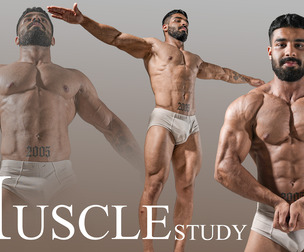 MUSCLE STUDY — 1630+ Male Anatomy Reference Pictures