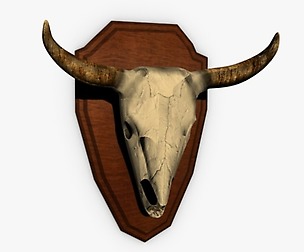 Buffalo skull trophy