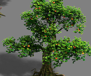 Forest - Tree 22