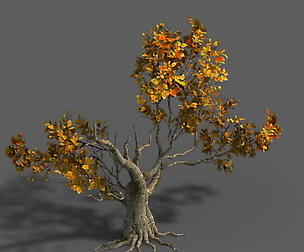 Forest - Trees 14