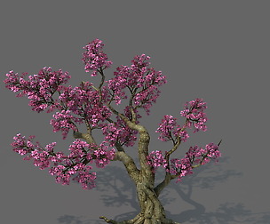Forest - Peach Blossom Tree 02