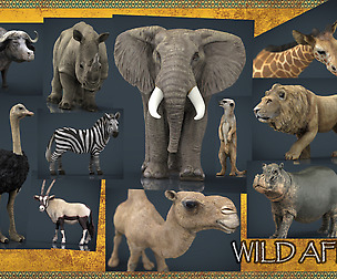 WILD AFRICA PACK