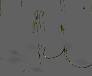 Shushan - vines