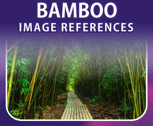 400 Bamboo Image Reference Pack – Vol 01