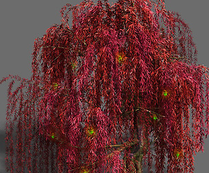 Trees - Biluo Trees 01