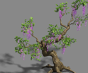 Trees - Purple Trees