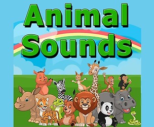 Animal Sounds