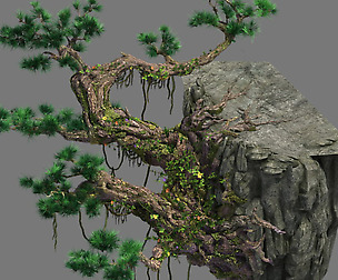 Cliff side - pine