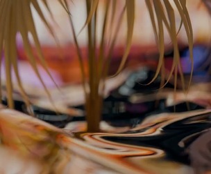 Abstract Iridescent Liquid Surface with Tropical Palm Leaves