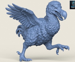 Dodo Bird Running
