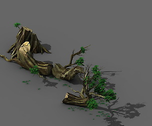Plant - broken tree 01