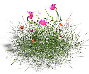 Plant - Gesang Hua