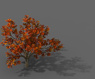 Plant - Shrub 01
