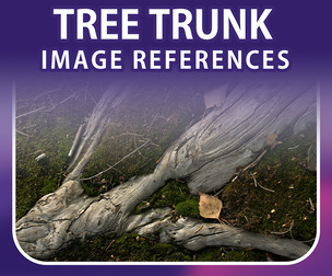 450 Tree Trunk References Pack – Vol 1