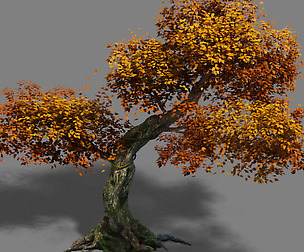 Plant - red tree 02