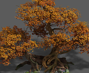 Plant - red tree 03