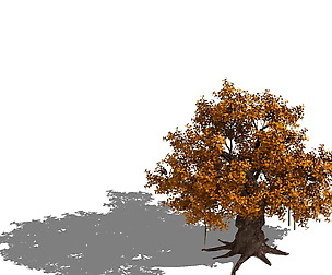 Plant - yellow tree