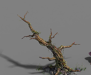 Plant - dead tree