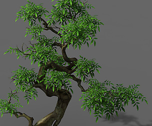 Plant - Green Tree 2