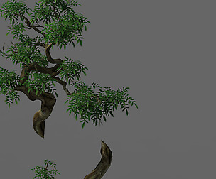 Plant - Green Tree 7