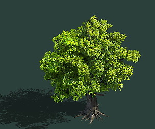 Plant - Green Tree 8
