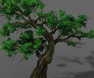 Plant - green leaf tree 01