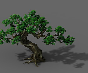 Plant - Green Trees 03