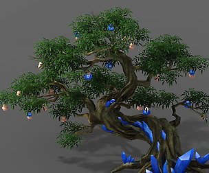 Plant - ginseng fruit tree
